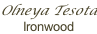 Olneya Tesota Ironwood