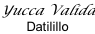Yucca Valida Datilillo