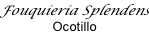 Fouquieria Splendens Ocotillo